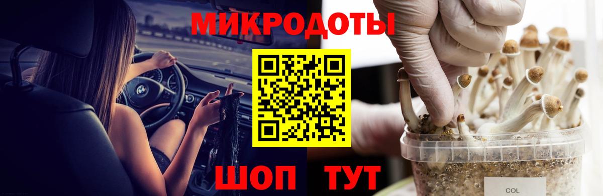 Галлюциногенные грибы Cubensis  наркота  Люберцы  Вход с VPN  Галлюциногенные грибы Psilocybe 